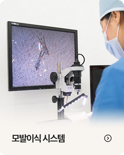 모발이식 시스템