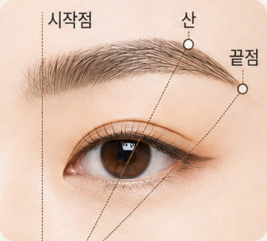 눈썹 시작점과 산과 끝점을 표시한 이미지