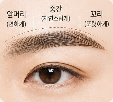 눈썹의 밀도를 표시한 이미지