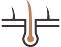 모발 일러스트